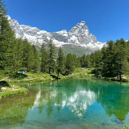 Delle Marmotte Cir N 0012 *