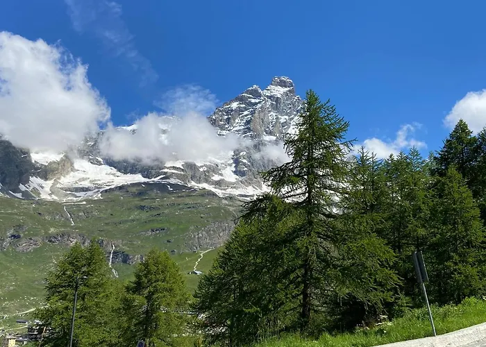 Delle Marmotte Cir N 0012 *