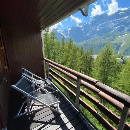 Delle Marmotte *