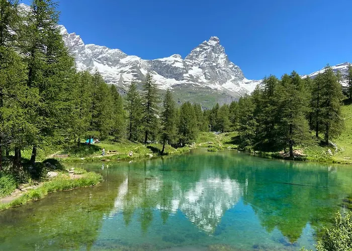 Delle Marmotte Cir N 0012 *